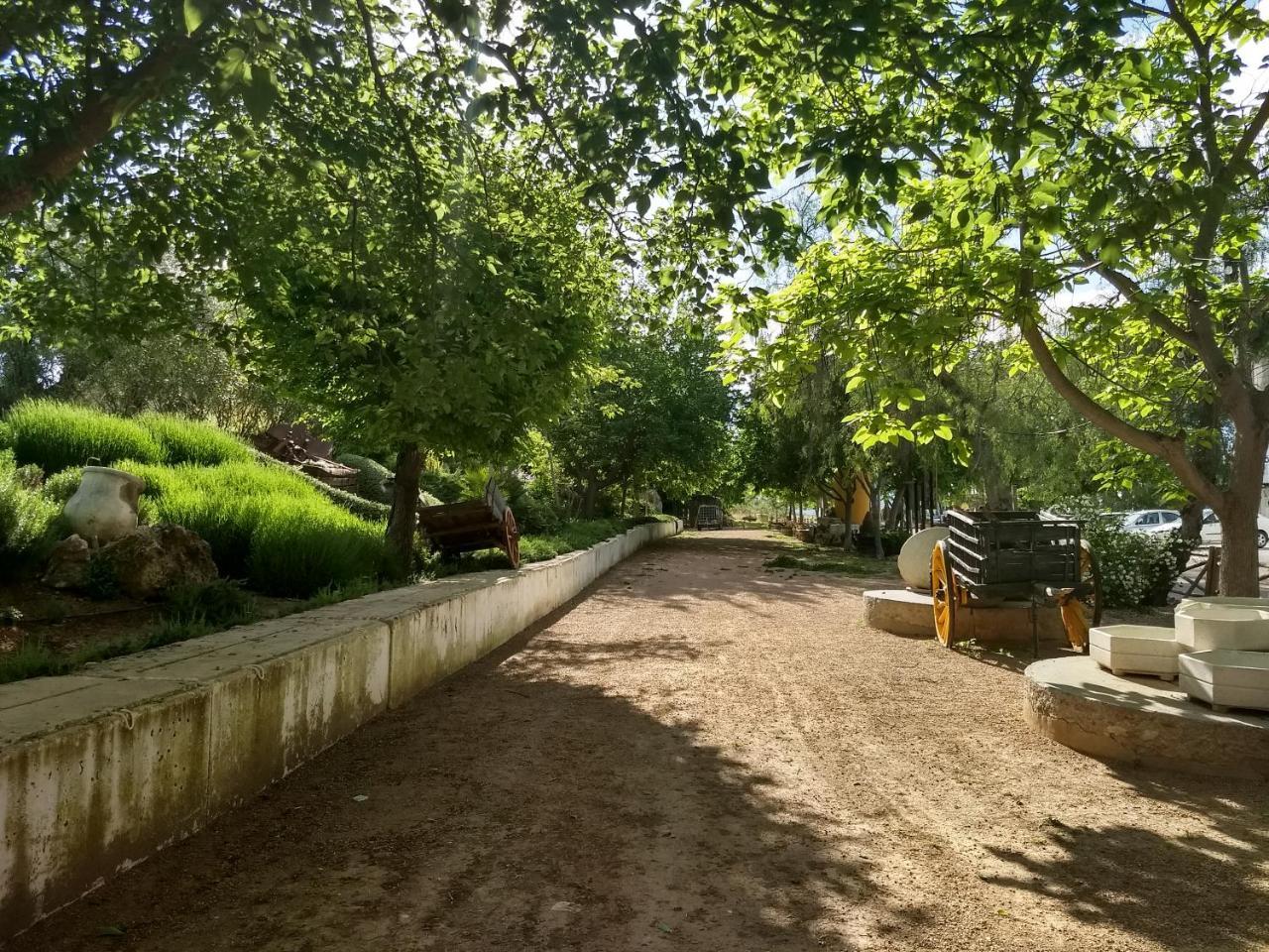 Hostal Nicol'S Otel Luque Dış mekan fotoğraf
